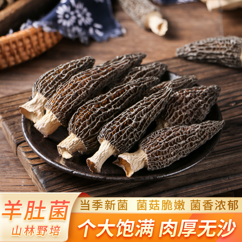 2025年头茬羊肚菌干货500g新货云南高原羊肚菌菇干蘑菇特产煲汤