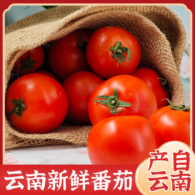 云南泸西沙瓤西红柿新鲜番茄现摘生吃 5斤装箱 包邮好吃不贵
