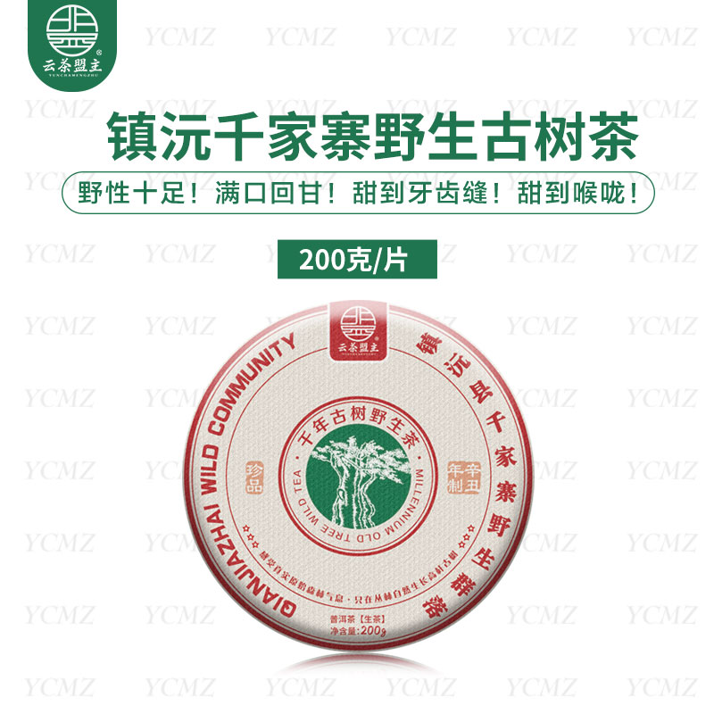 云茶盟主2021年千家寨野生古树茶，普洱 生茶！200克/片！