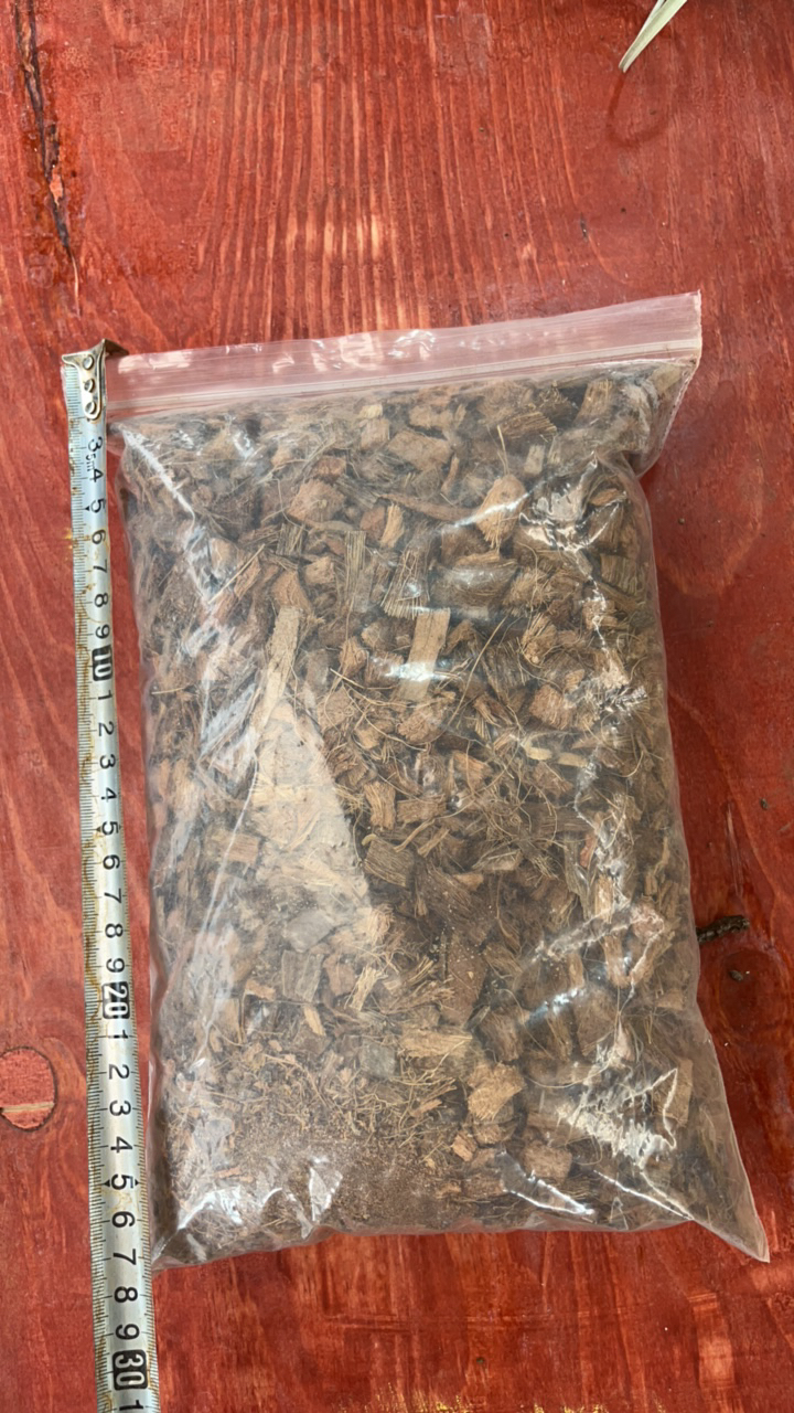 粗椰壳2包，泥炭土2包适合王冠蕨等蕨类植物