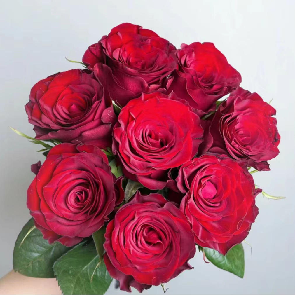 不参与凑单【红玫瑰+粉玫瑰+洛神】10%损耗不售后 鲜花