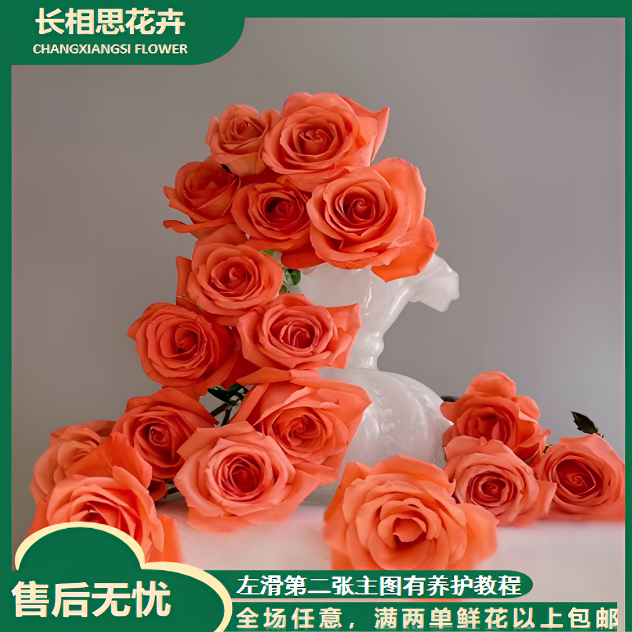 影星单头玫瑰 全场任意满两单及以上鲜花包邮