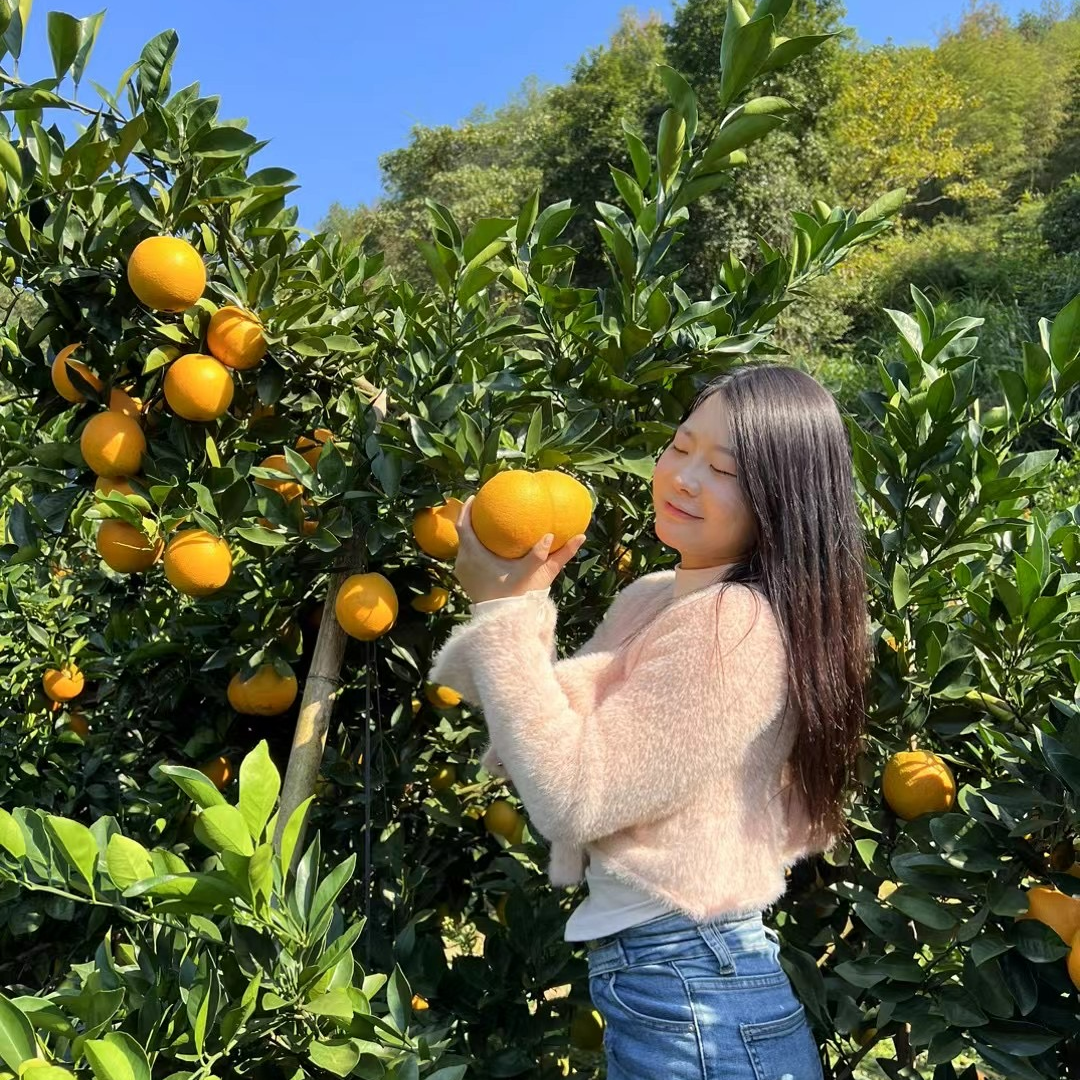 赣南脐橙正宗赣南脐橙世界橙乡信丰安西特产新鲜现摘二十斤装精果