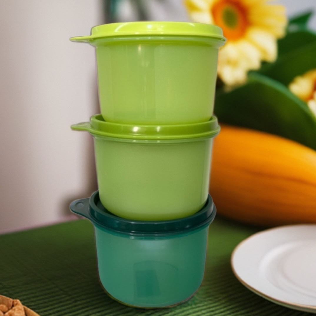 （海）450毫升密封保鲜盒冷藏保鲜不漏