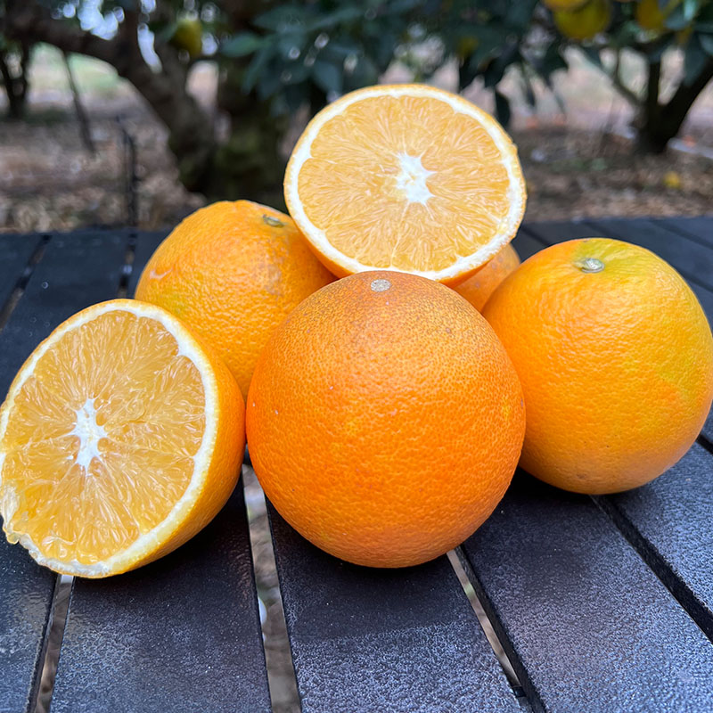 【10斤装】正宗赣南脐橙生态果果径60~90mm新鲜高山果子赣州源头发