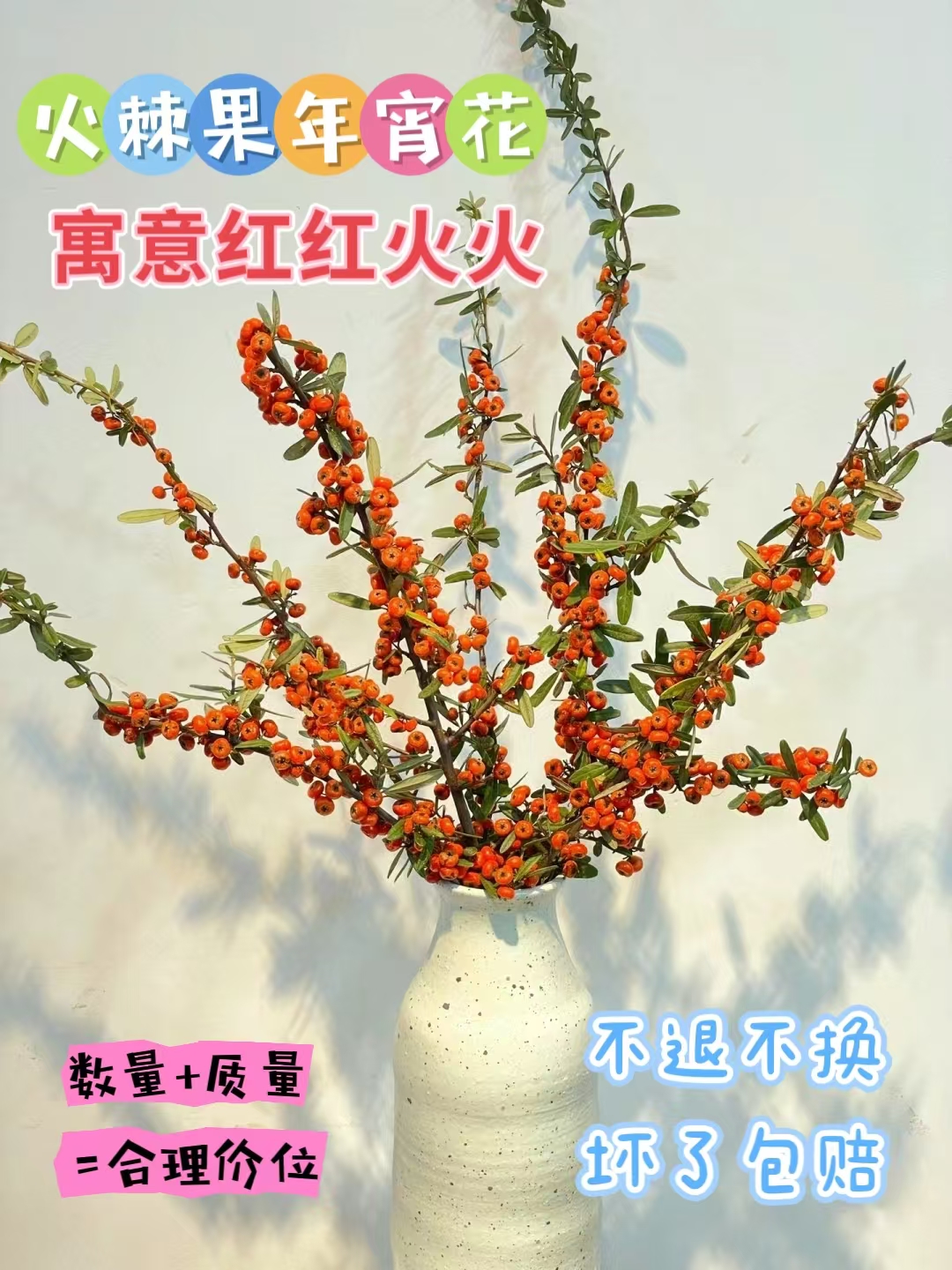 火棘果室内插花年宵花（0度以下地区没拍保温棉的冻坏不售后）