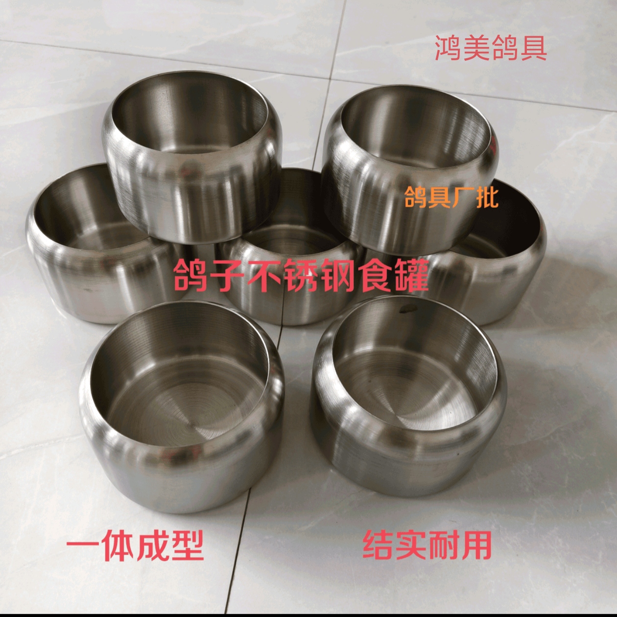 鸽子信鸽不锈钢食罐