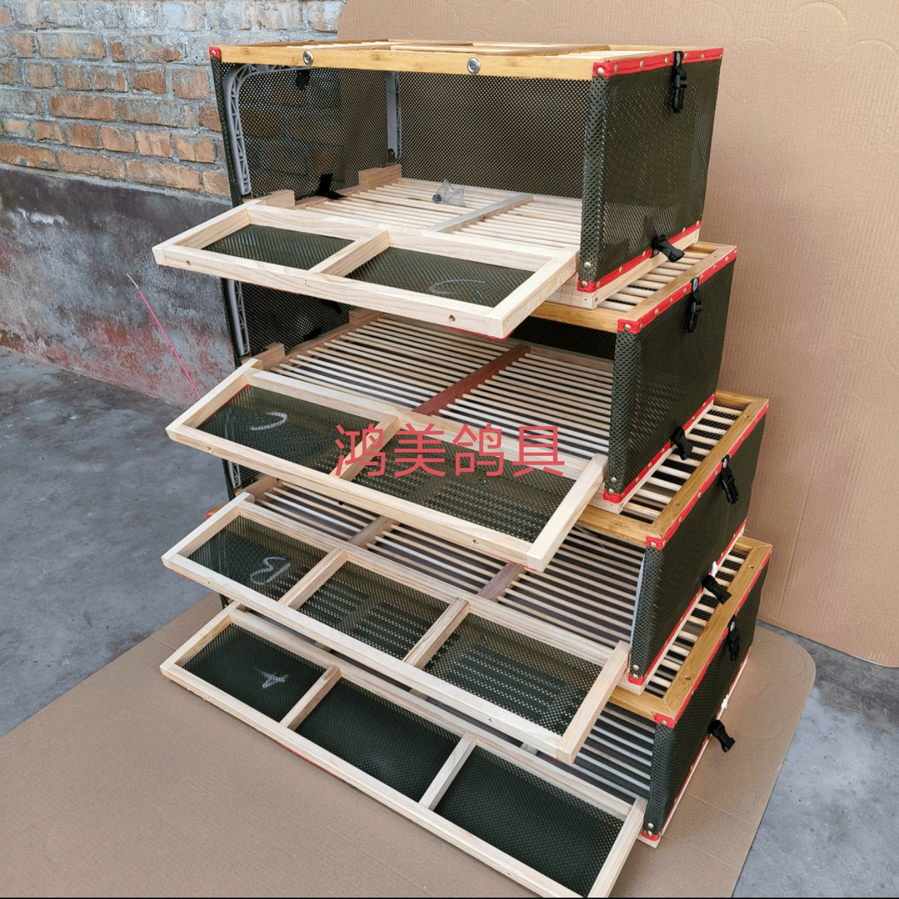 鸽子训放笼放飞笼训放鸽笼