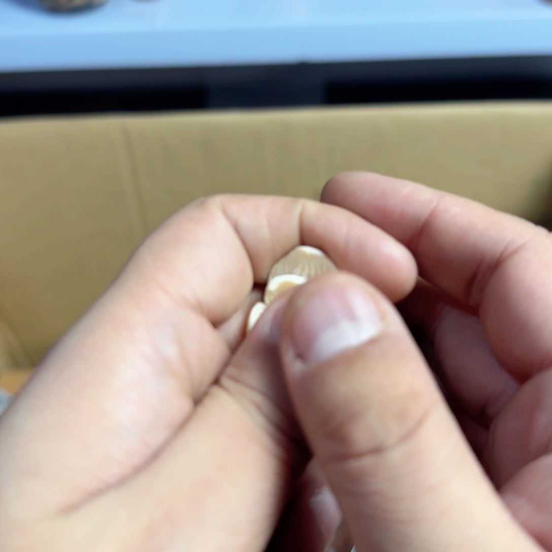 茶宠我家粉丝真好看