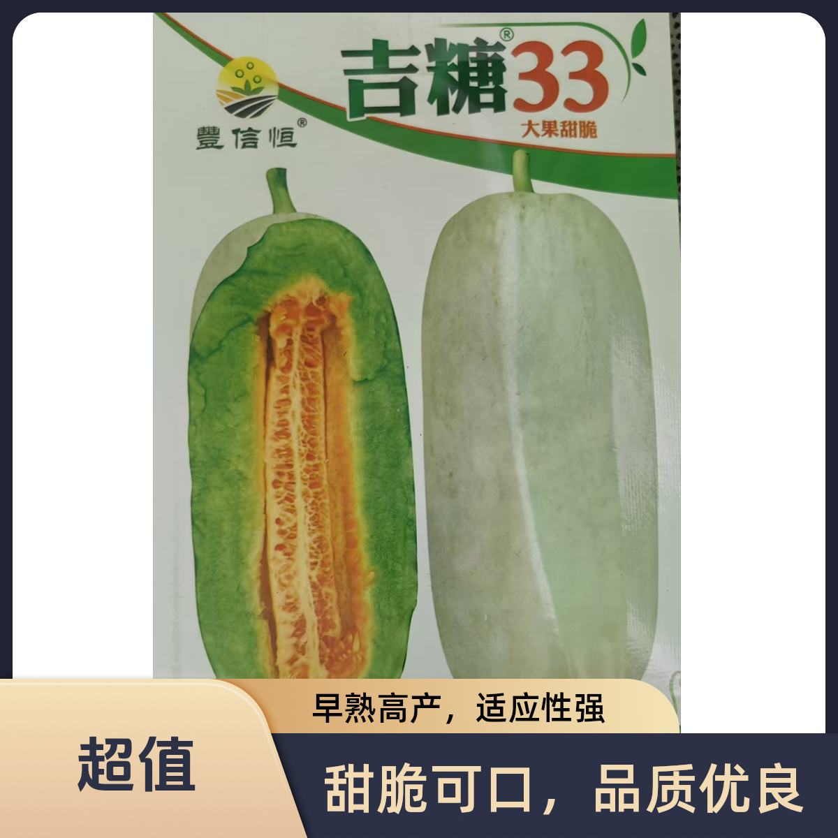“吉糖33”大果7号类甜瓜种子，外观好看，红瓤緑肉干瓤，产量高