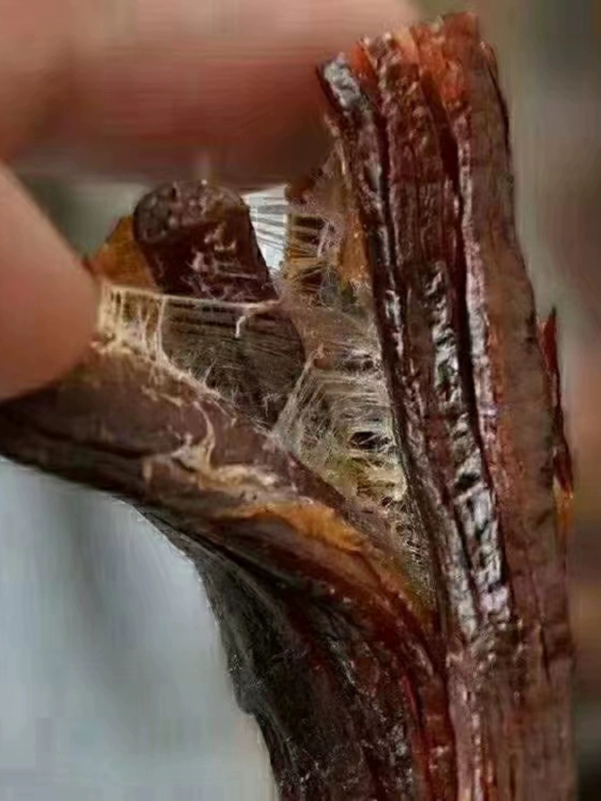 新疆特产伊犁牛肉干500克包邮