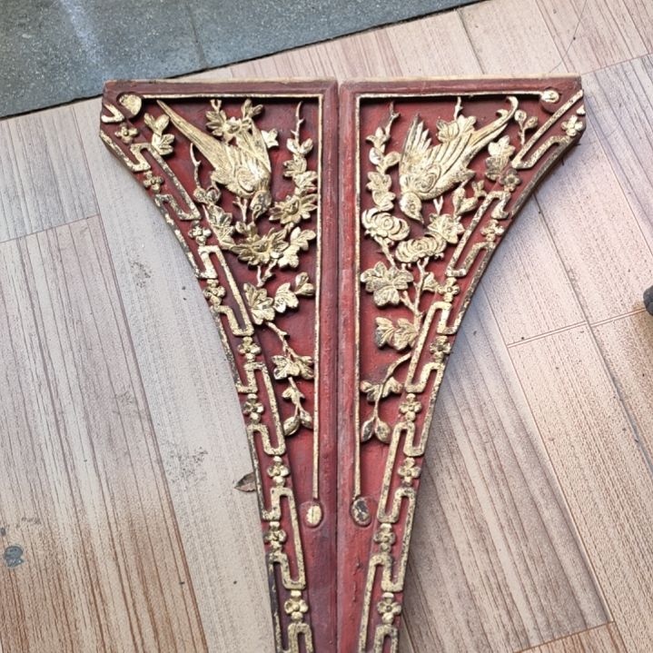 【闪购商品】黄金樟用****1