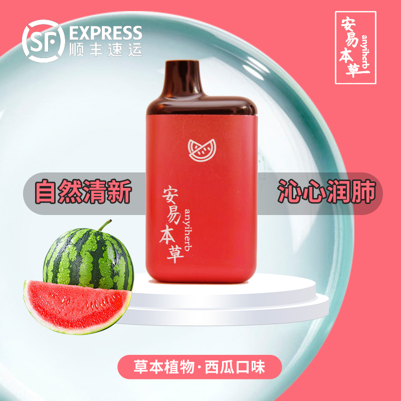 口吸型雾化安易草本吸雾口腔电子雾化大器充电款吸入水果味国药