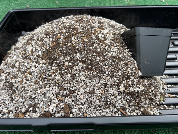 仙人球 兜叔配方土 大苗/亚成株专用土 5升 可装23个黑方