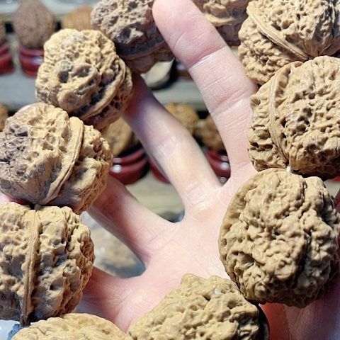 文玩核桃手串盘龙金蟾10粒带彩38