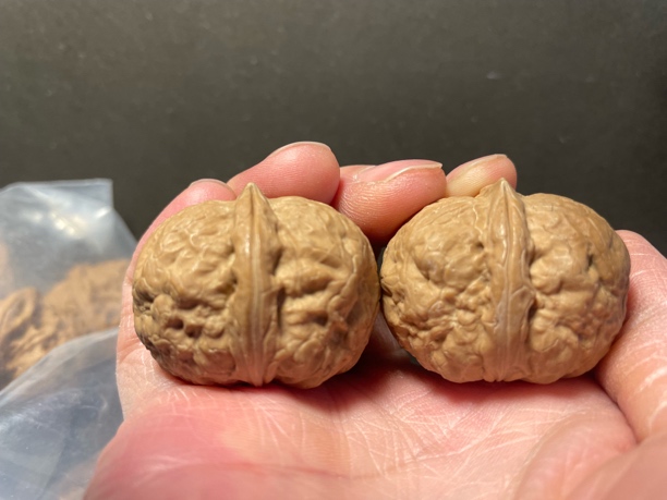 37云南铁核桃120205西王元宝大粗筋矮桩手捻带阴皮