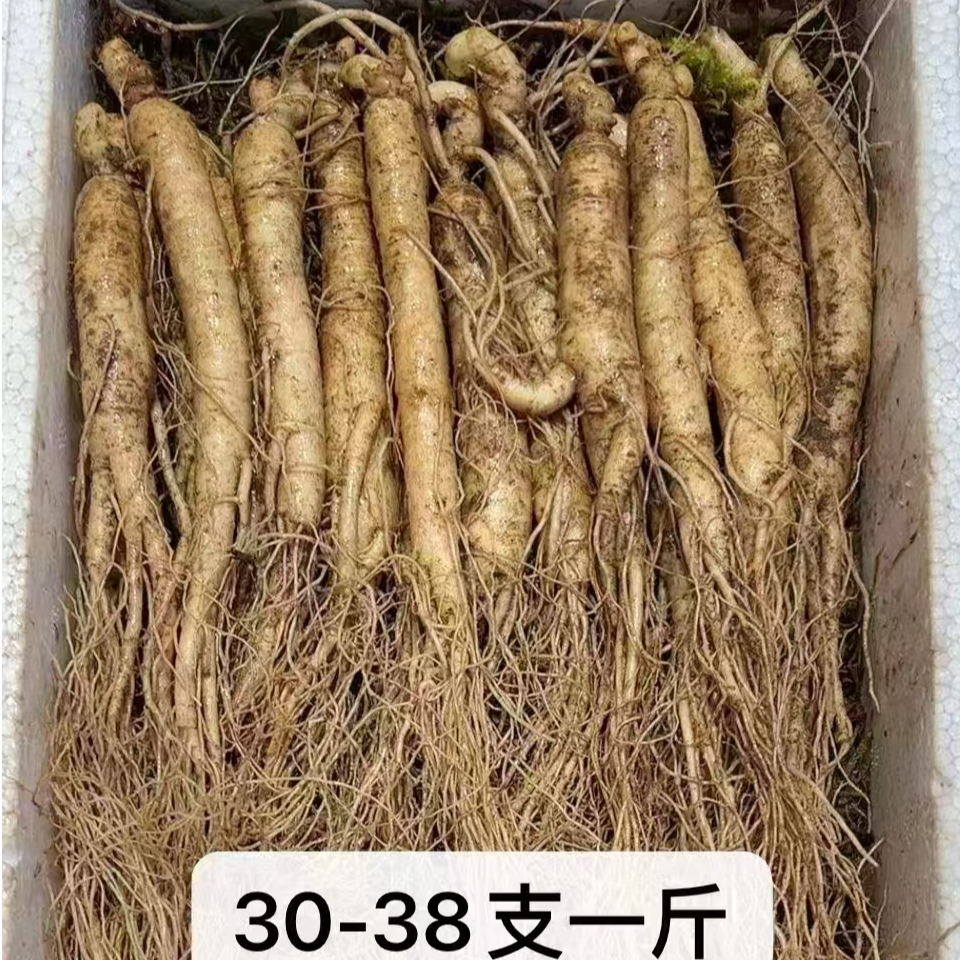 长白山鲜人参30-40支一斤，净重500克
