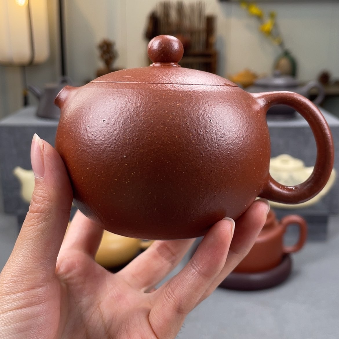 【闪购商品】紫砂茶壶
