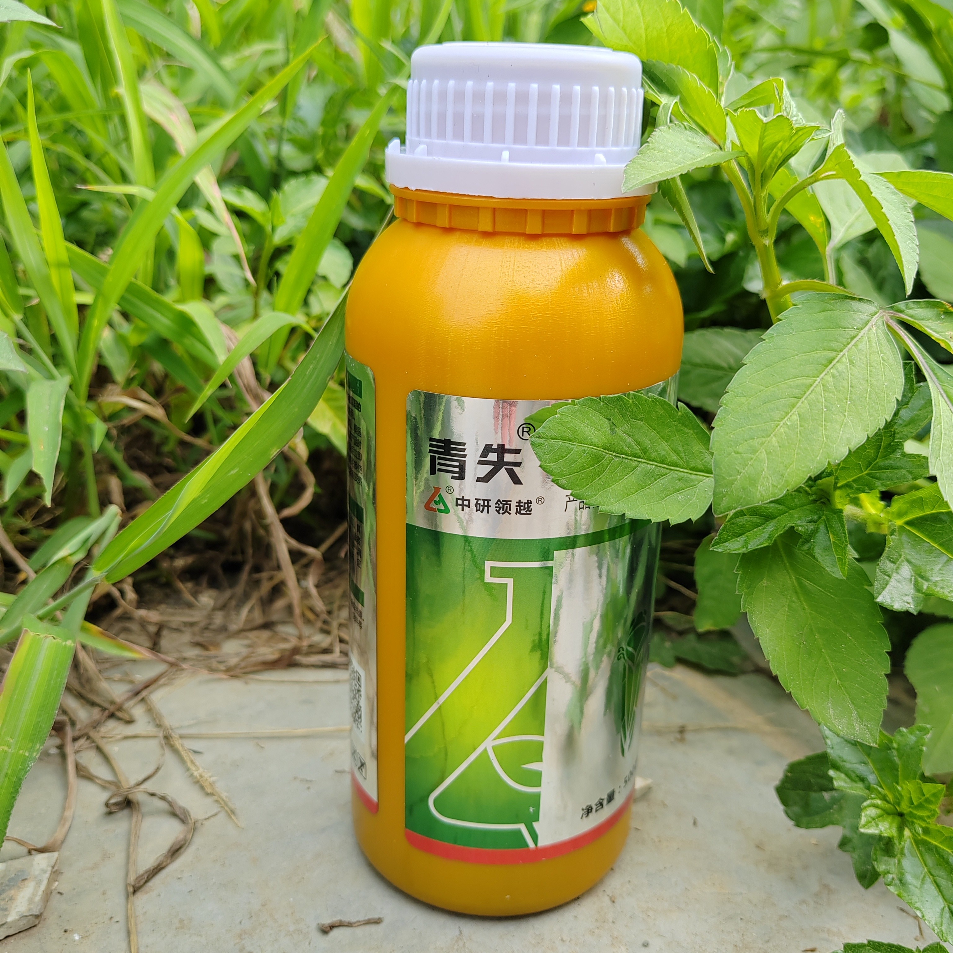 青失复配制剂青虱青失