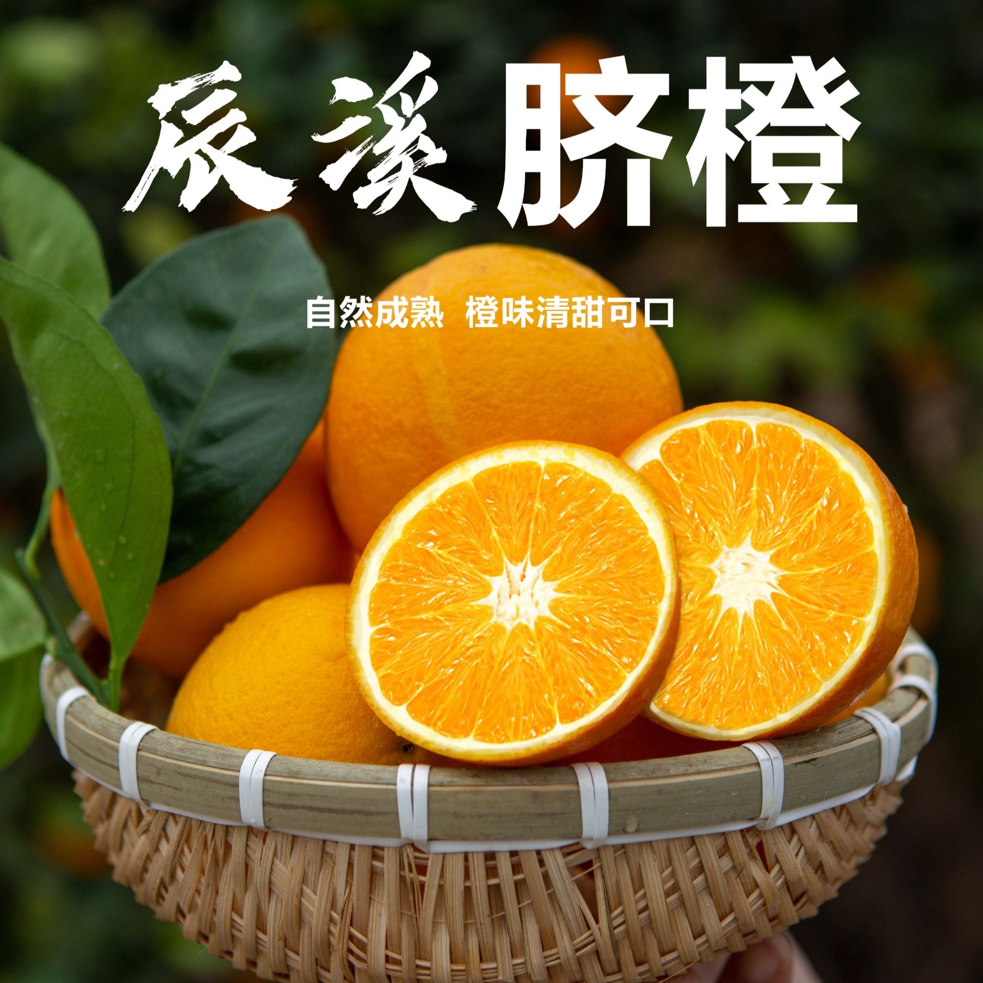 湖南辰溪脐橙沙堆脐橙清甜香甜爆汁多汁营养皮薄自然现摘美味新鲜