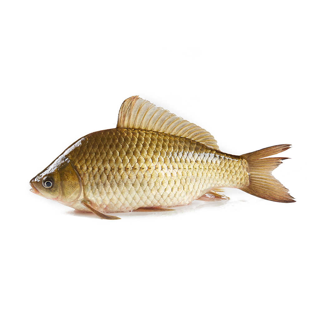 【盒马安心鱼】鲜活 鲫鱼 300-400g/条