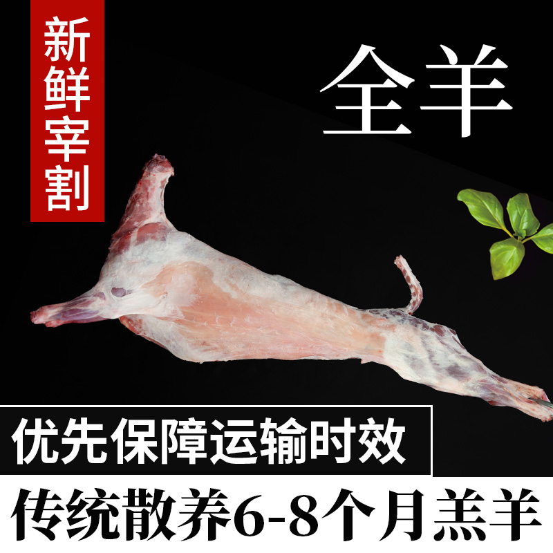 宁夏散养滩羊-整只羊【当天屠宰-新鲜分割】1