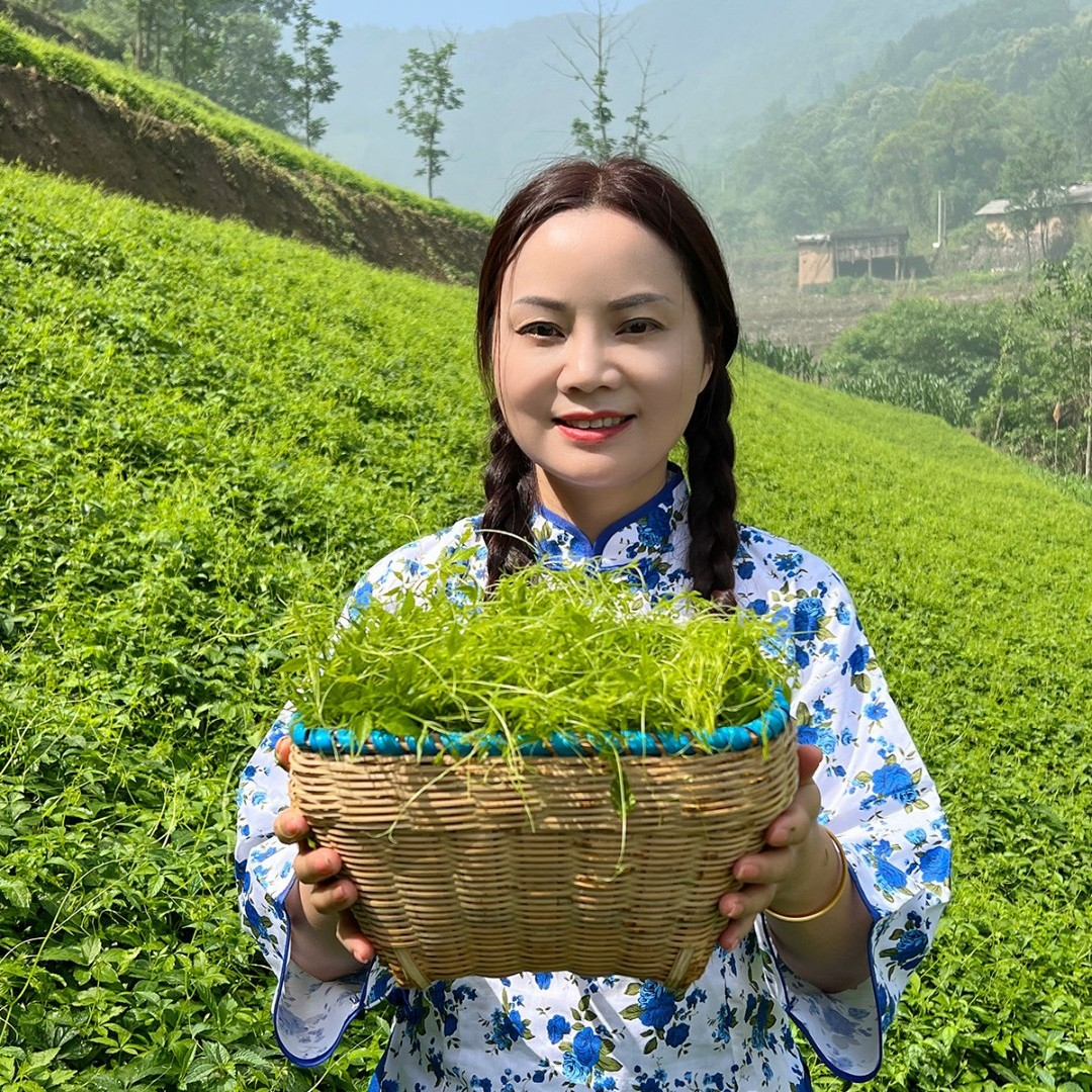 (优）平利绞股蓝龙须五叶参味鲜爽清香型花草茶甘甜