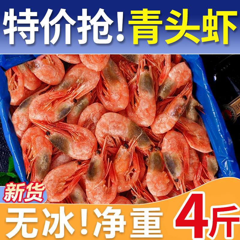 【坏单包赔】北极甜虾腹籽甜虾冰籽元宝虾黑头虾一整箱原箱批发