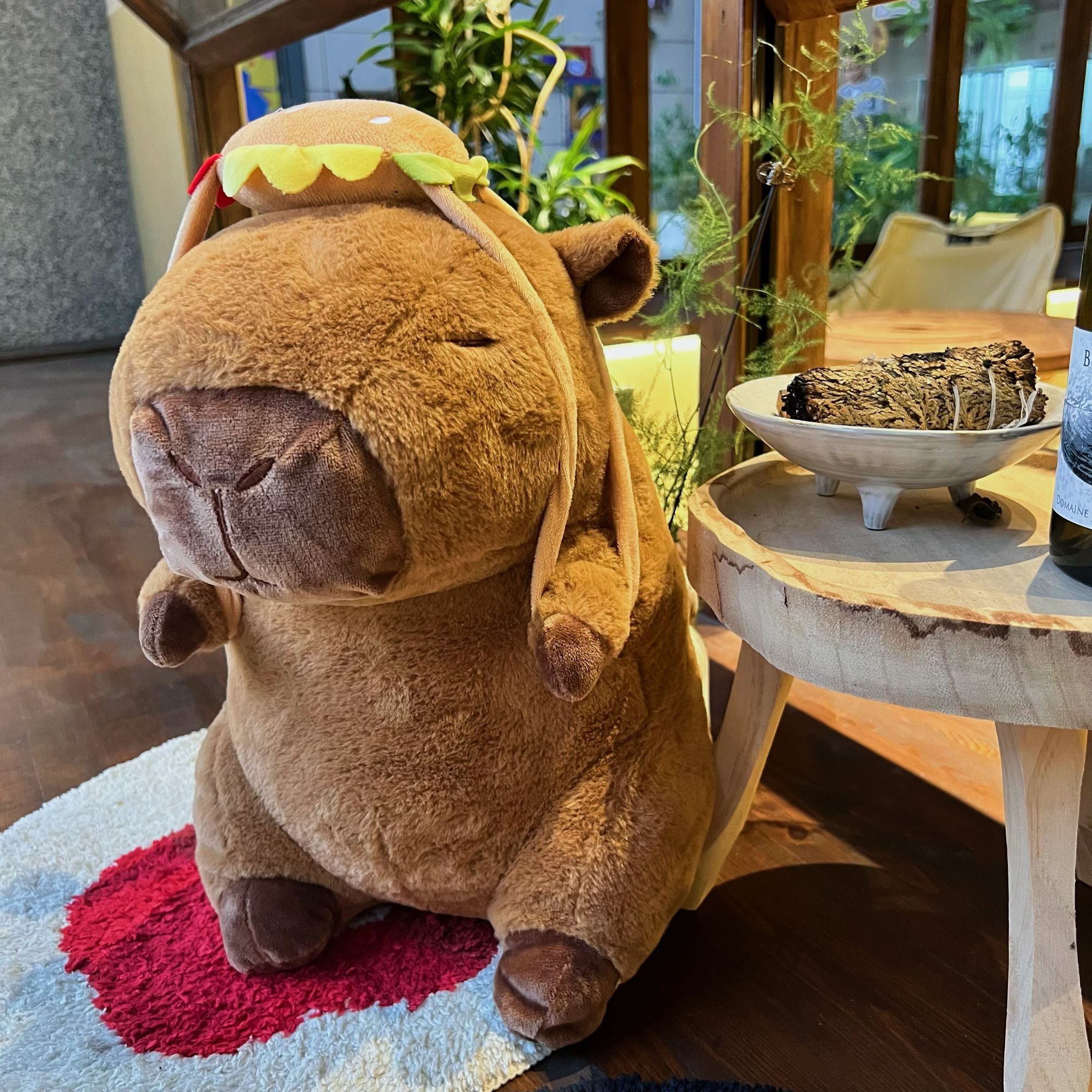 CAPYBARAcm】卡皮巴拉毛绒玩具可爱水豚抱枕送闺蜜小朋友礼物