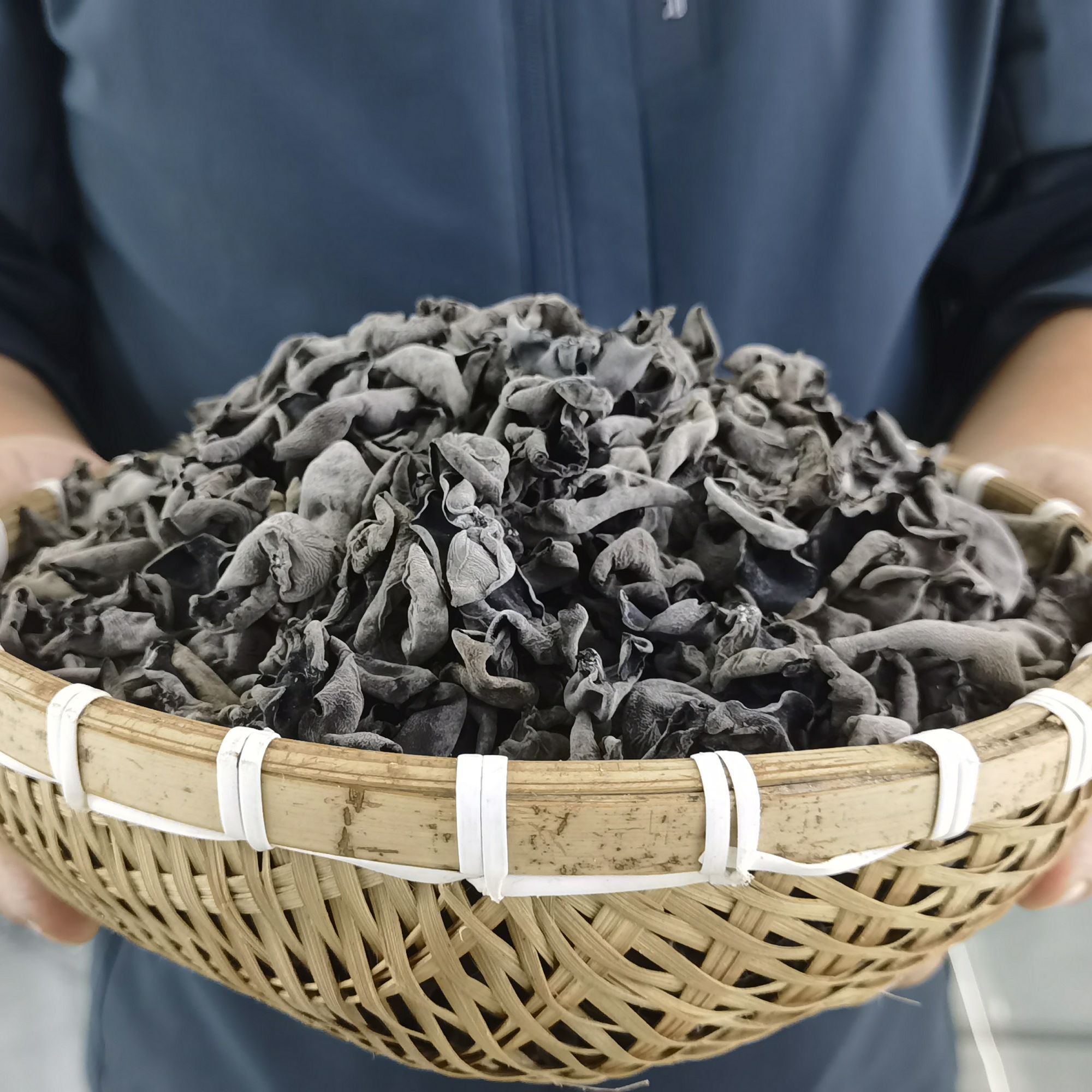 国桦椴木木耳肉厚小朵