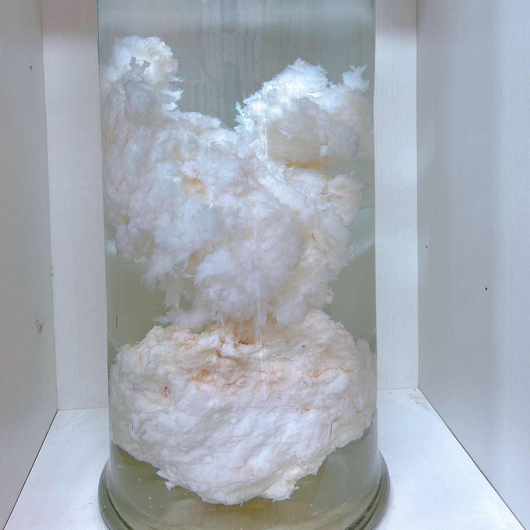 创意摆件《太岁-白》2500g