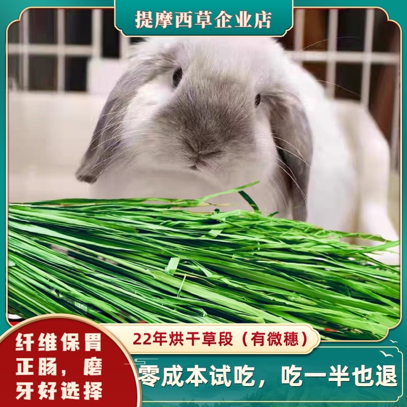 特价烘干北提摩西草段干草牧草 兔草 兔粮兔饲料