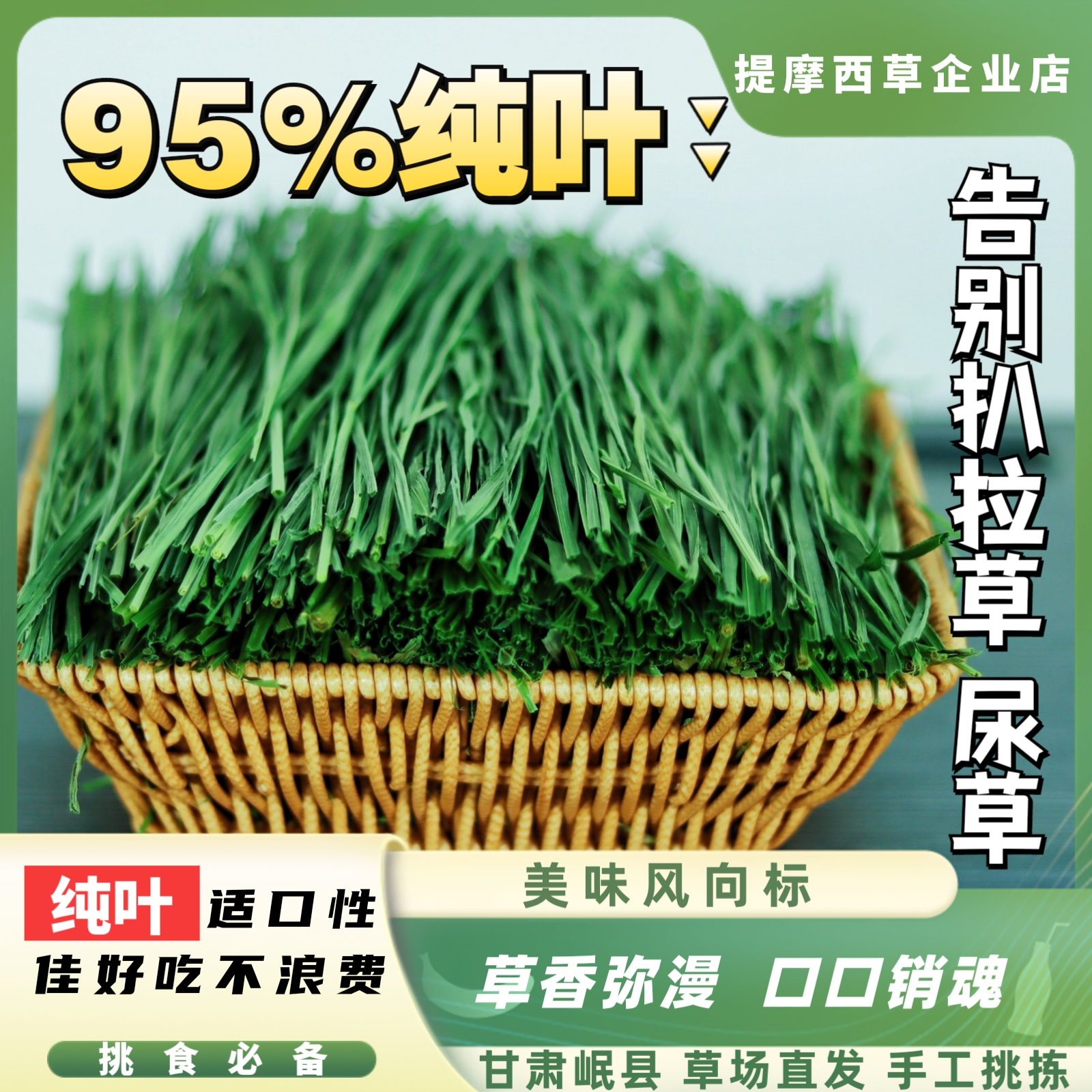 【美味风向标】纯叶鲜香嫩绿提摩西草适合挑食兔兔豚鼠龙猫干草牧草
