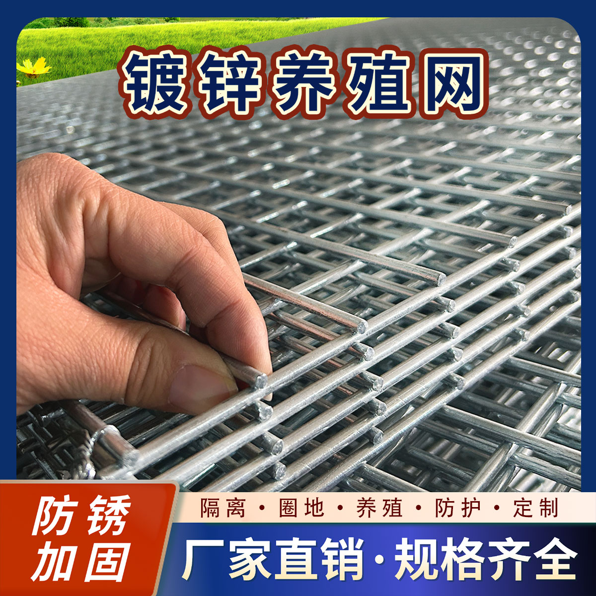 2公分方孔鸽舍鸟笼围网 垫脚漏粪网防黄鼠狼镀锌网片防护网铁丝网