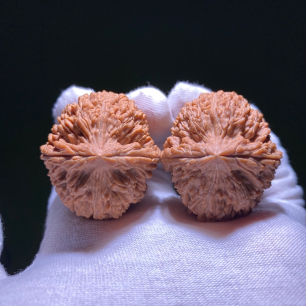 大蒜头35尺寸全品 文玩核桃