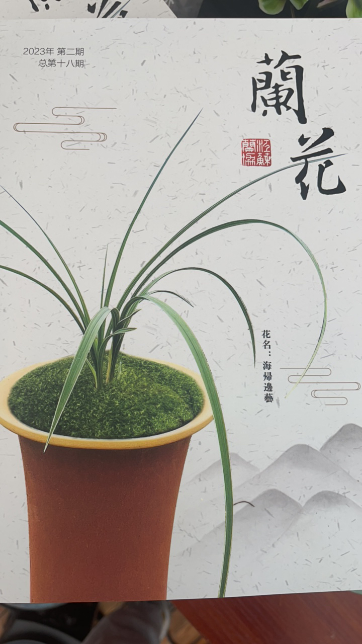 蘭花（兰花）杂志！