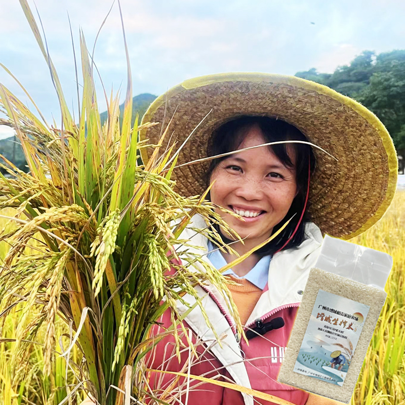 【生榨米】广州增城小镇楼农家米自有种植基地