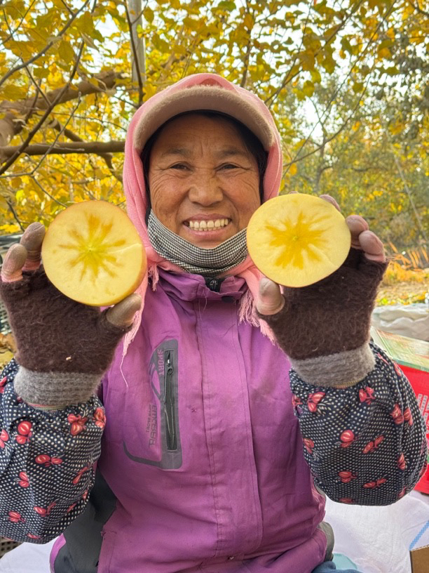 【顺丰包邮坏果包赔】新疆阿克苏冰糖心苹果 6枚霸王果 净重5斤