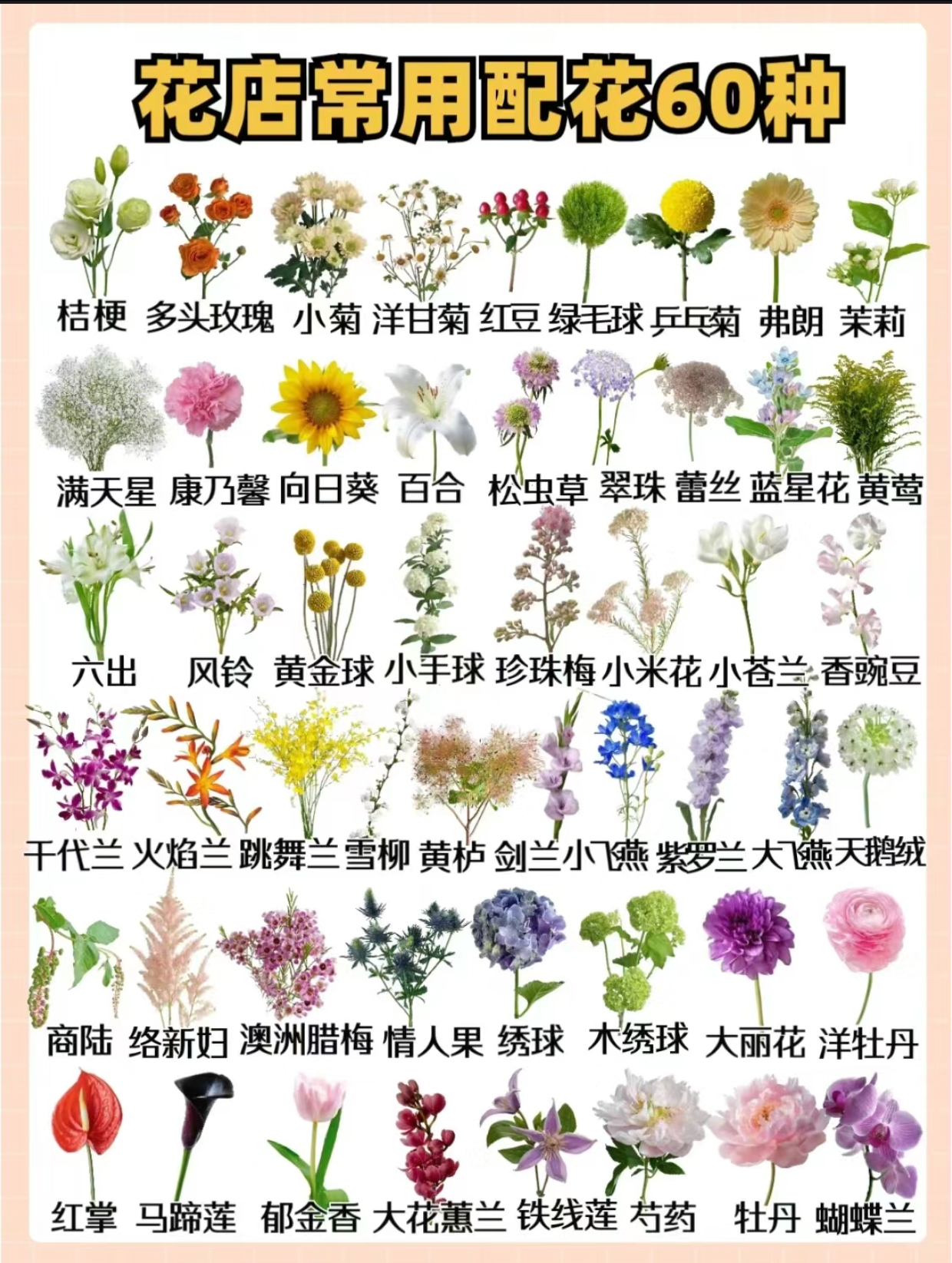 ①玫瑰草花等拿10扎以下预付款（多退少补）