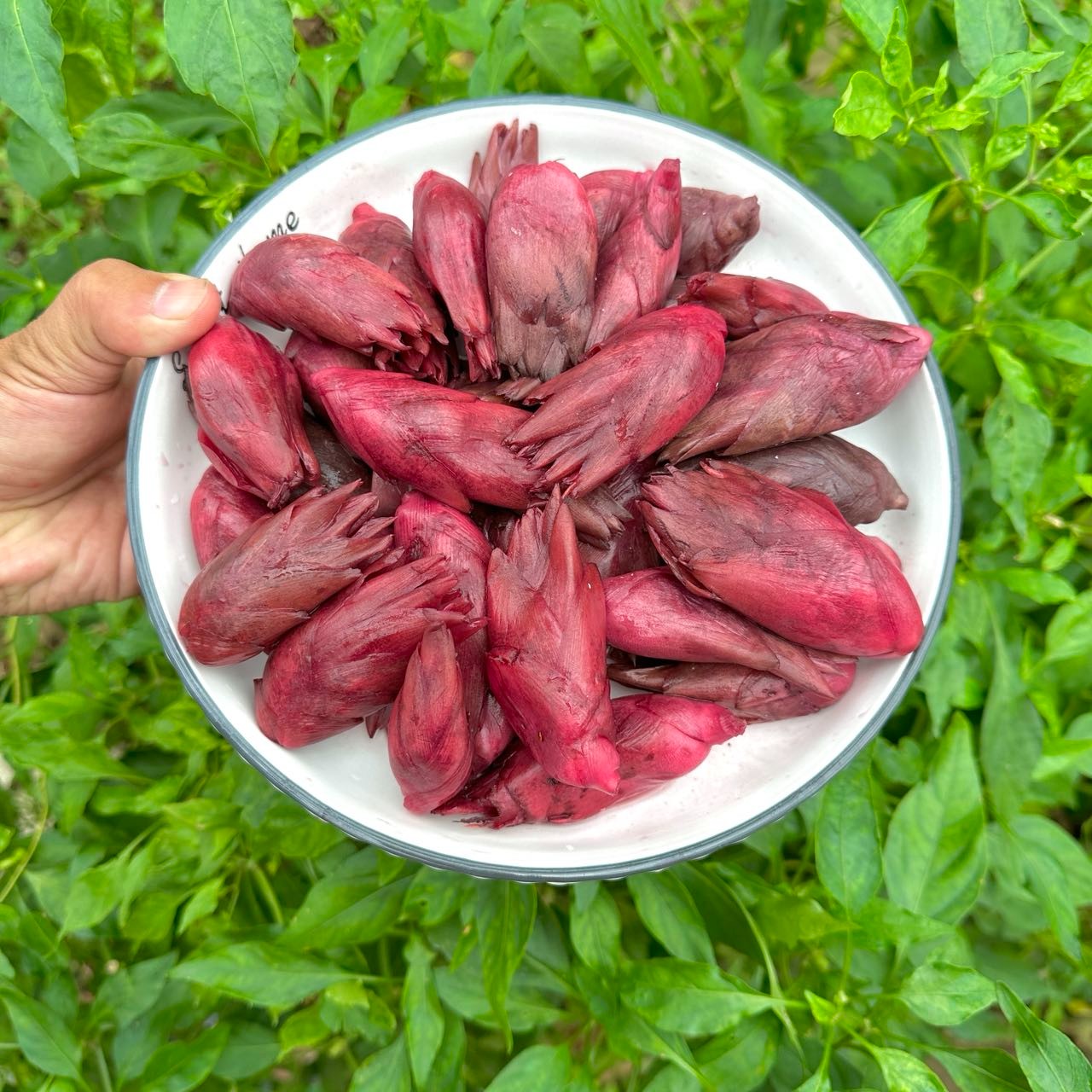 【云上岳西】腌莲花姜 安庆农家山泉水腌制 1斤/袋