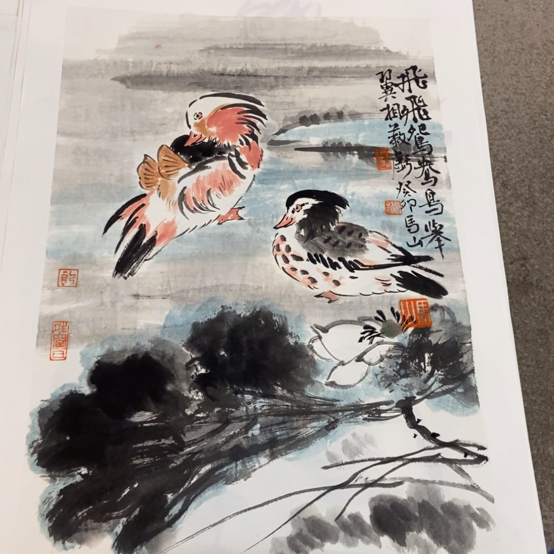 【闪购商品】绘画墨鱼精品墨鱼精品