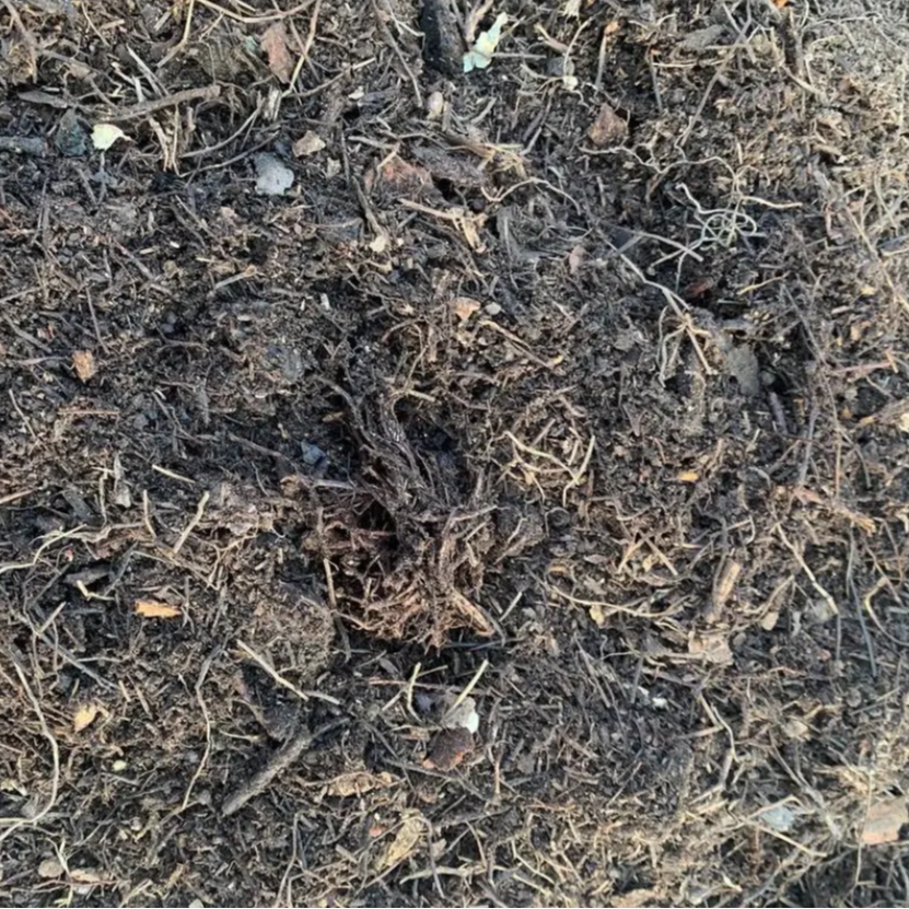 天然松针腐叶营养土