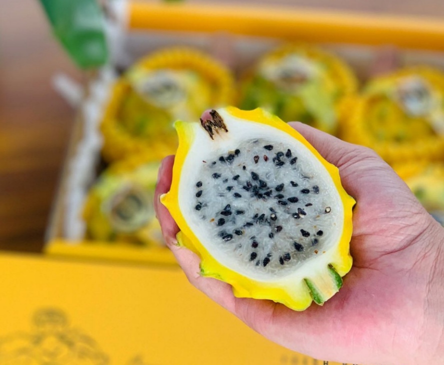 【顺丰空运 多送1斤】燕窝果 麒麟果 4斤装