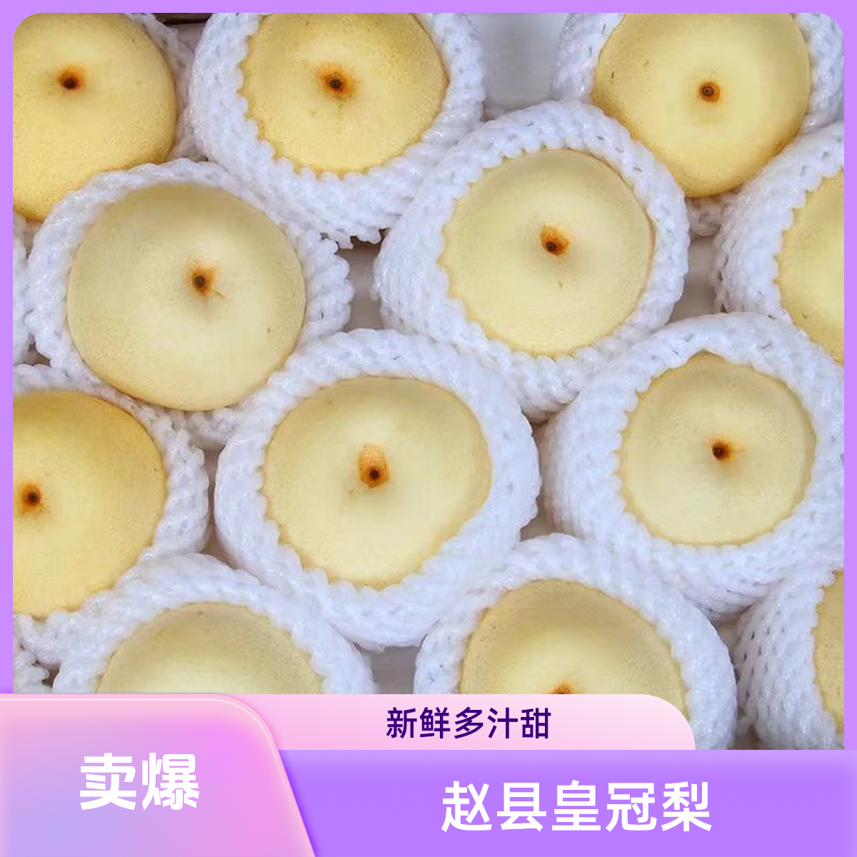 河北赵县皇冠梨新鲜水果产地直发梨新鲜水果薄皮多汁生吃煮水包邮