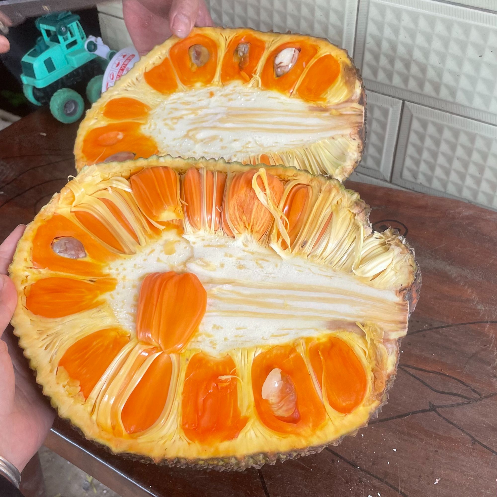 新品种印尼红菠萝蜜树苗干包红肉味道比较香菠萝蜜需修部分叶发货