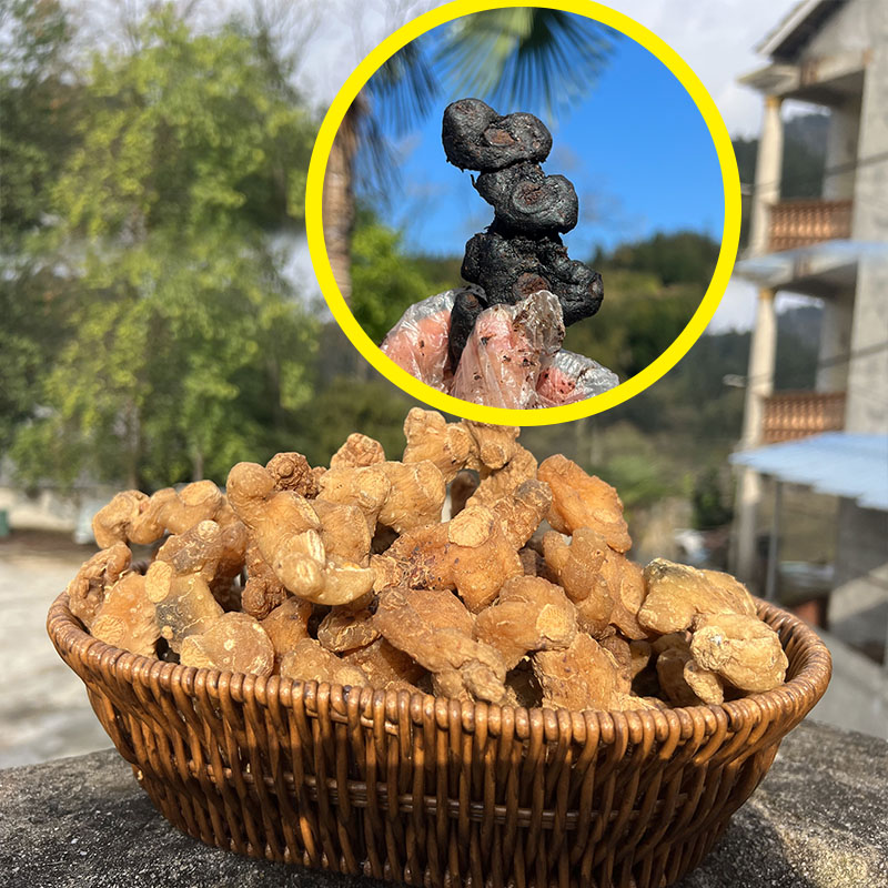 （贵州山货）姜 参初级农产品250/500g