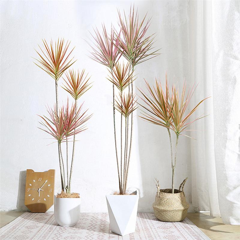 【千年木-七彩铁-龙血树】高级室内外大型绿植盆栽花卉植物客厅旺宅