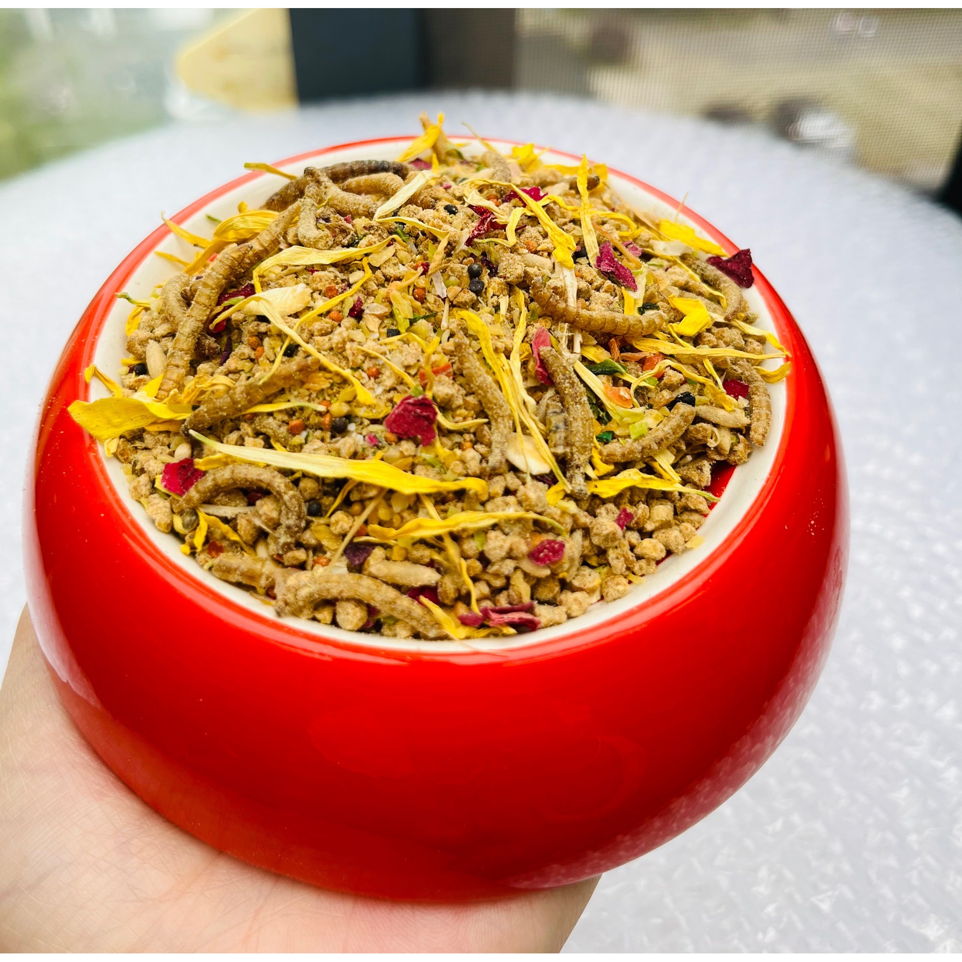 y【丫丫家双12福利】芦丁鸡小米蛋米芦丁鸡仓鼠鹦鹉