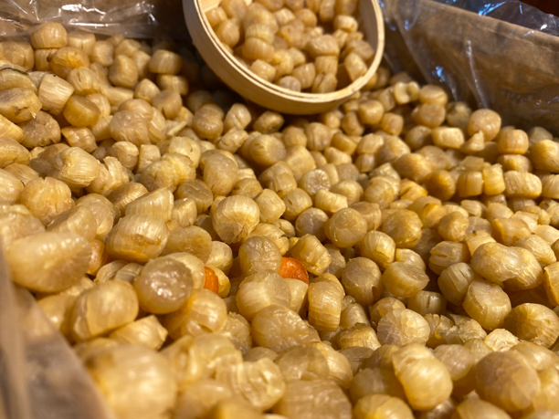 忠垦海产 大连元贝500头 斤