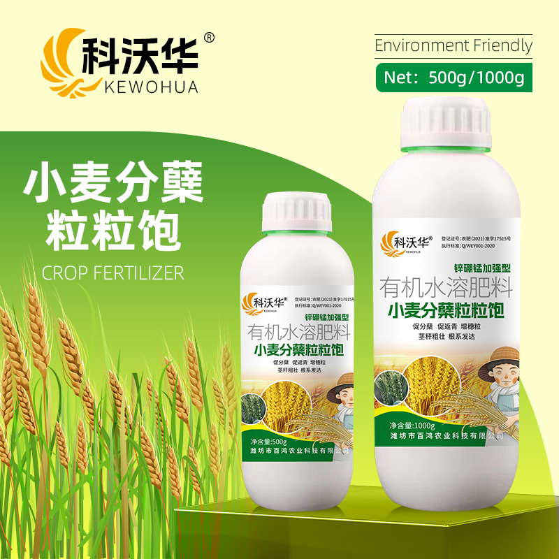 科沃华小麦分蘖粒粒饱促分蘖增穗粒促返青灌浆含氨基酸水溶肥料